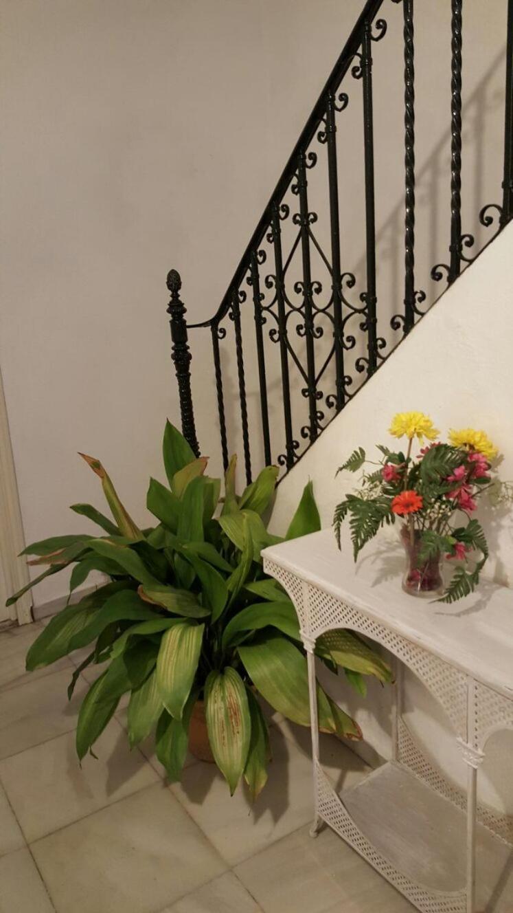 En El Corazon De Sevilla ภายนอก รูปภาพ